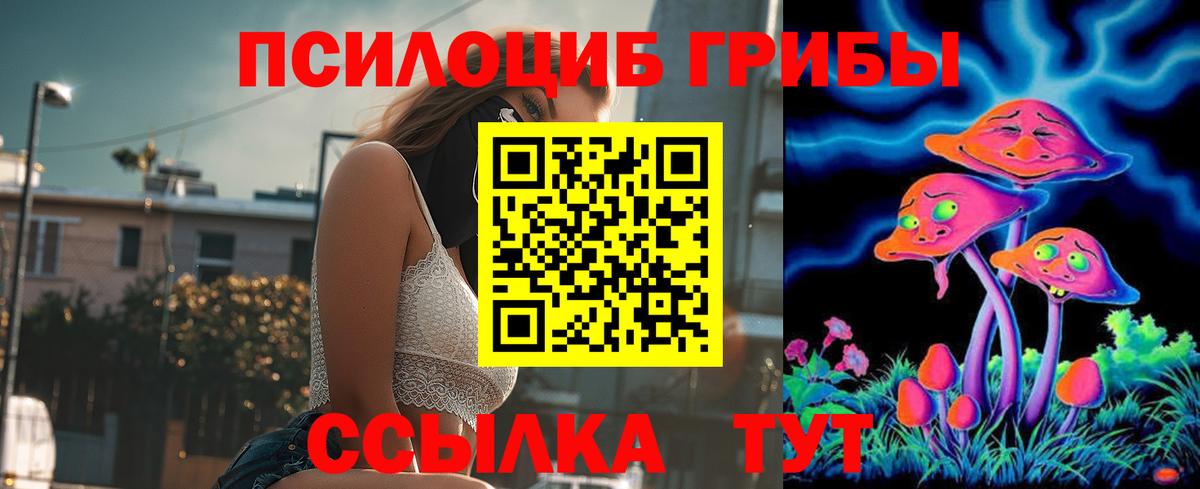 Псилоцибиновые грибы прущие грибы Серов